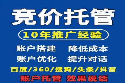 某行业SEM主管的优化策略与成果展示