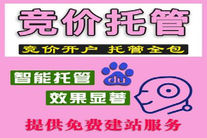百度SEO推广策略深度解读：某企业网络营销的胜利之路